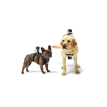 GoPro Fetch Dog Harness Adventure Camera Mount