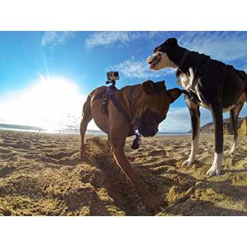 GoPro Fetch Dog Harness Adventure Camera Mount