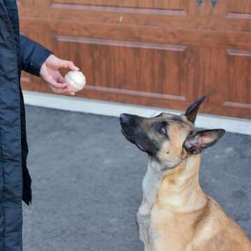 East Mission Single, Aesthetic Fetch & Play Dog Ball Toy with Beef Flavor and Squeaker, Natural Rubber/Latex, Medium Sized (2.5”) Neutral Colors (Beige)