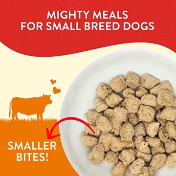 Stella & Chewy's Itty Bitty Beef Recipe for Small Dogs