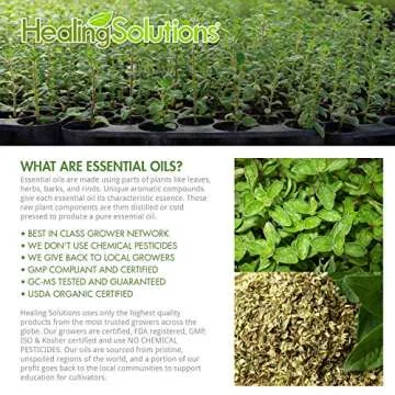 Healing Solutions 10ml Oils - Oregano Essential Oil - 0.33 Fluid Ounces