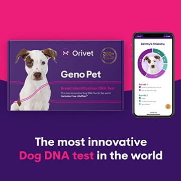Orivet Dog DNA Test Kit for Breed Identification and Health