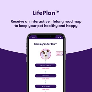 Orivet Dog DNA Test Kit for Breed Identification and Health