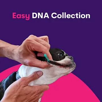 Orivet Dog DNA Test Kit for Breed Identification and Health
