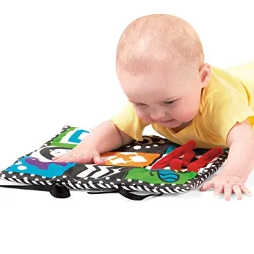Wimmer-Ferguson 3-in-1 Baby Triangle Play Mat