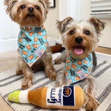 Haute Diggity Dog Grrrona Beer Bottle, Plush Designer Dog Toys with Interactive Squeaker, Stimulating Pet Enrichment, Machine-Washable & Safe Materials for All Breeds, Size Medium