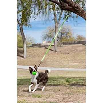 Jolly Pets Tree Tugger Interactive Dog Toy for Playtime Fun