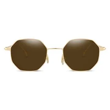 FEISEDY Hipster Small Polygon Sunglasses with Delicate Metal Frame
