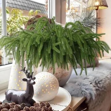 Rowfad 12 Pcs Christmas Norfolk Pine Branches, Norfolk Pine Artificial Christmas Stems DIY Crafts Faux Christmas Greenary Norfolk Pine Branches for Xmas Wreath Garland Home Decor (12)