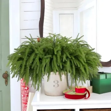 Rowfad 12 Pcs Christmas Norfolk Pine Branches, Norfolk Pine Artificial Christmas Stems DIY Crafts Faux Christmas Greenary Norfolk Pine Branches for Xmas Wreath Garland Home Decor (12)