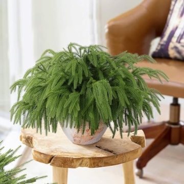 Rowfad 12 Pcs Christmas Norfolk Pine Branches, Norfolk Pine Artificial Christmas Stems DIY Crafts Faux Christmas Greenary Norfolk Pine Branches for Xmas Wreath Garland Home Decor (12)