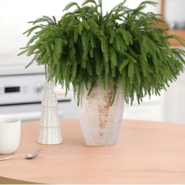 Rowfad 12 Pcs Christmas Norfolk Pine Branches, Norfolk Pine Artificial Christmas Stems DIY Crafts Faux Christmas Greenary Norfolk Pine Branches for Xmas Wreath Garland Home Decor (12)