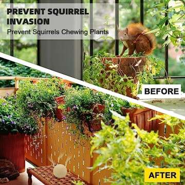 Mint Squirrel Repellent Outdoor - Natural Protection for Gardens