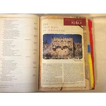 NIV Archaeological Study Bible: A Historic Walk Through Faith
