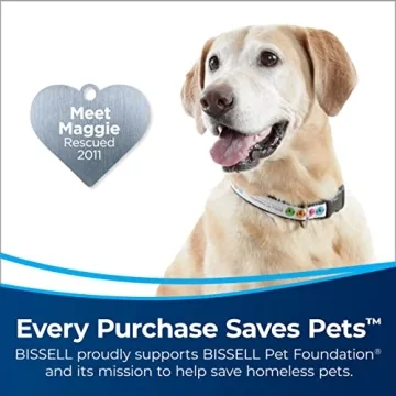 Bissell CleanView Vacuum Cleaner Pet Hair and More
