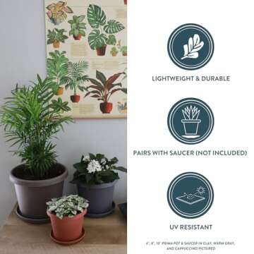 The HC Companies 14 Inch Round Prima Planter - Plastic Plant Pot with Rolled Rim for Indoor Outdoor Plants Flowers Herbs, Black