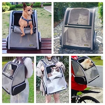 Texsens Bubble Backpack Pet Carrier for Travel