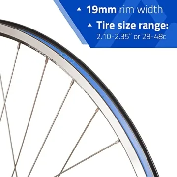 Affordable RCG DW19-700 Rear Wheel for 700C & 29" Bikes