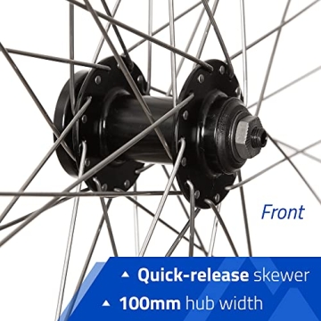 Affordable RCG DW19-700 Rear Wheel for 700C & 29" Bikes