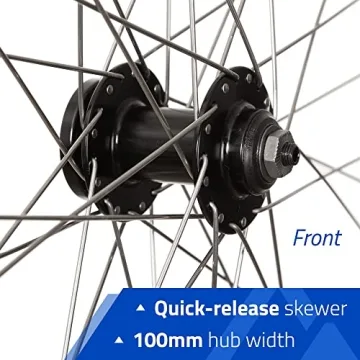 Affordable RCG DW19-700 Rear Wheel for 700C & 29" Bikes
