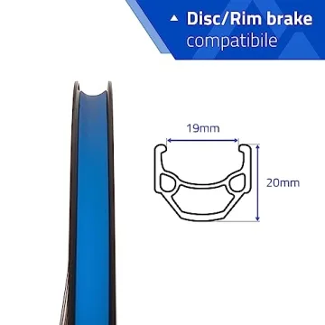 Affordable RCG DW19-700 Rear Wheel for 700C & 29" Bikes