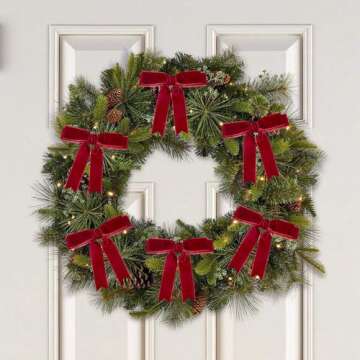 Anwyll Velvet Ribbon,3/8Inch × 25Yard Double-Sided Vintage Red Velvet Ribbon,Velvet Christmas Ribbon for Christmas Tree,Wreath Decor,Craft,Gift Wrapping,Bow Making,Flower Bouquet,Birthday,Wedding