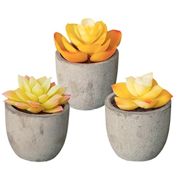 3 Piece Yellow Decor Artificial Succulent Plants in Grey Pots Realistic Greenery Mini Potted Faux Pl...