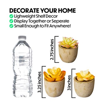 3 Piece Yellow Decor Artificial Succulent Plants in Grey Pots Realistic Greenery Mini Potted Faux Plant Arrangements for Home Decor Office Room Dorm Bathroom Restroom Kitchen Table Centerpieces