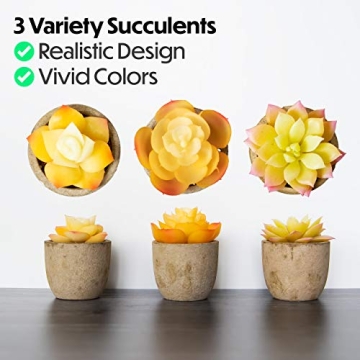 3 Piece Yellow Decor Artificial Succulent Plants in Grey Pots Realistic Greenery Mini Potted Faux Plant Arrangements for Home Decor Office Room Dorm Bathroom Restroom Kitchen Table Centerpieces