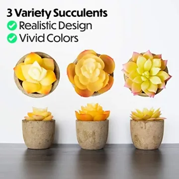 3 Piece Yellow Decor Artificial Succulent Plants in Grey Pots Realistic Greenery Mini Potted Faux Plant Arrangements for Home Decor Office Room Dorm Bathroom Restroom Kitchen Table Centerpieces