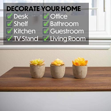 3 Piece Yellow Decor Artificial Succulent Plants in Grey Pots Realistic Greenery Mini Potted Faux Plant Arrangements for Home Decor Office Room Dorm Bathroom Restroom Kitchen Table Centerpieces