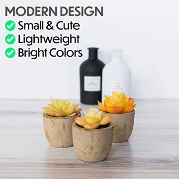 3 Piece Yellow Decor Artificial Succulent Plants in Grey Pots Realistic Greenery Mini Potted Faux Plant Arrangements for Home Decor Office Room Dorm Bathroom Restroom Kitchen Table Centerpieces