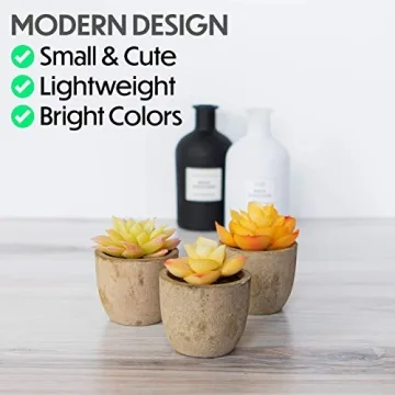 3 Piece Yellow Decor Artificial Succulent Plants in Grey Pots Realistic Greenery Mini Potted Faux Plant Arrangements for Home Decor Office Room Dorm Bathroom Restroom Kitchen Table Centerpieces