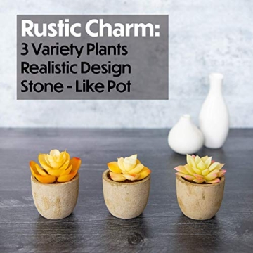 3 Piece Yellow Decor Artificial Succulent Plants in Grey Pots Realistic Greenery Mini Potted Faux Plant Arrangements for Home Decor Office Room Dorm Bathroom Restroom Kitchen Table Centerpieces