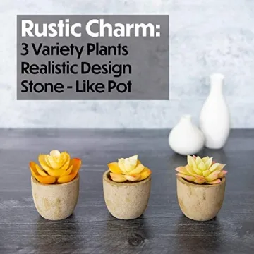3 Piece Yellow Decor Artificial Succulent Plants in Grey Pots Realistic Greenery Mini Potted Faux Plant Arrangements for Home Decor Office Room Dorm Bathroom Restroom Kitchen Table Centerpieces