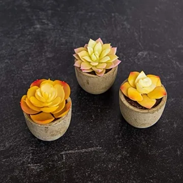 3 Piece Yellow Decor Artificial Succulent Plants in Grey Pots Realistic Greenery Mini Potted Faux Plant Arrangements for Home Decor Office Room Dorm Bathroom Restroom Kitchen Table Centerpieces