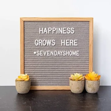 3 Piece Yellow Decor Artificial Succulent Plants in Grey Pots Realistic Greenery Mini Potted Faux Plant Arrangements for Home Decor Office Room Dorm Bathroom Restroom Kitchen Table Centerpieces