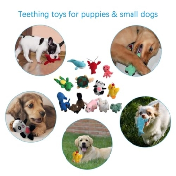 LEGEND SANDY 12 Pack Chew Toys for Small Dogs