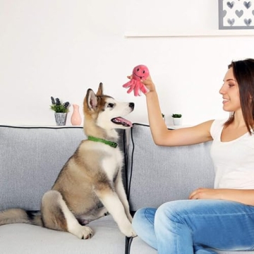 LEGEND SANDY 12 Pack Chew Toys for Small Dogs