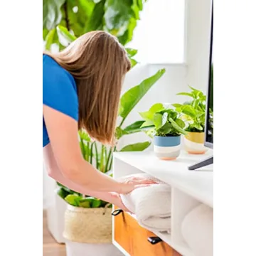 Rana Plant Co. Golden Pothos Easy Care 4" Live Plant