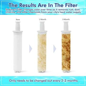 Fine Spring Vitamin C Filtered High Pressure Shower Head