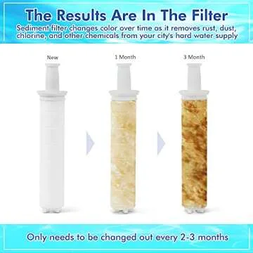 Fine Spring Vitamin C Filtered High Pressure Shower Head