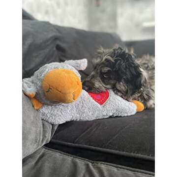 ALL FOR PAWS Dog Toys with Heartbeat Puppy Sleep Aid Plush Toy, Puppy Stuffed Animal Warm Comfort Toys for Dogs