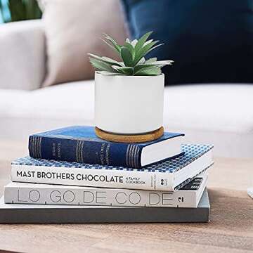 Hopewood Faux Succulent Plants for Home Decor