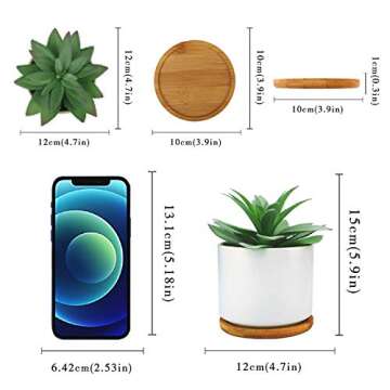 Hopewood Faux Succulent Plants for Home Decor
