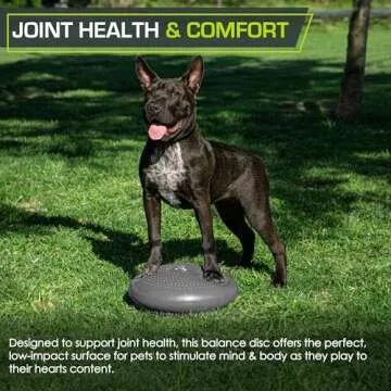 ProsourceFit 14" Core Balance Disc Trainer with Pump