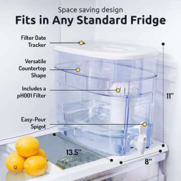 Invigorated Water Alkaline Water Purification Unit, White, Plastic, pH001 Filter Included, Convenient Anti-Slip Design