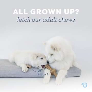 Benebone Puppy Chew Toys - Durable & Flavorful