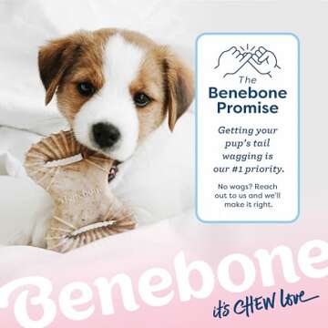 Benebone Puppy Chew Toys - Durable & Flavorful