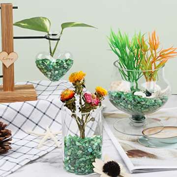 LUCKY BABY Crushed Shells for Crafts, Small Natural Crushed Seashells Pieces Chips, Sea Shells for D...